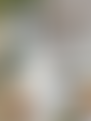 August Moodboard - Wrapping up Summer with Intention 