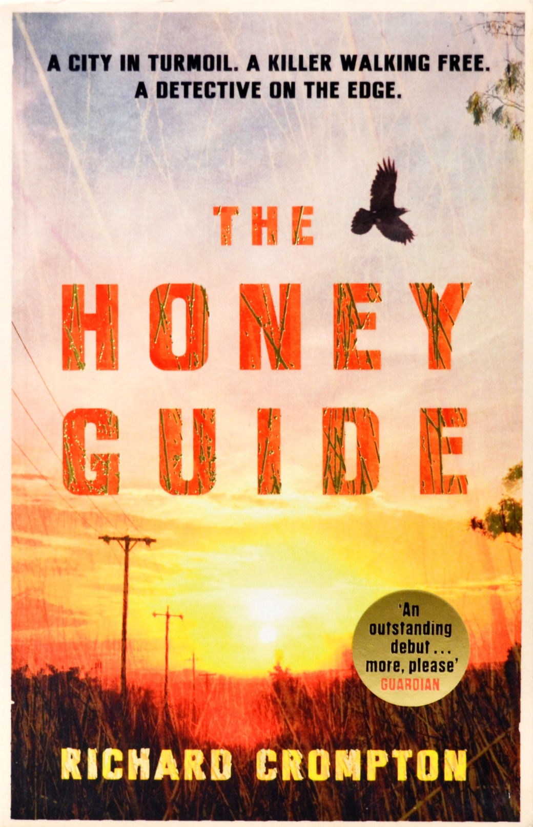 The Honey Guide: Detective Mollel #1