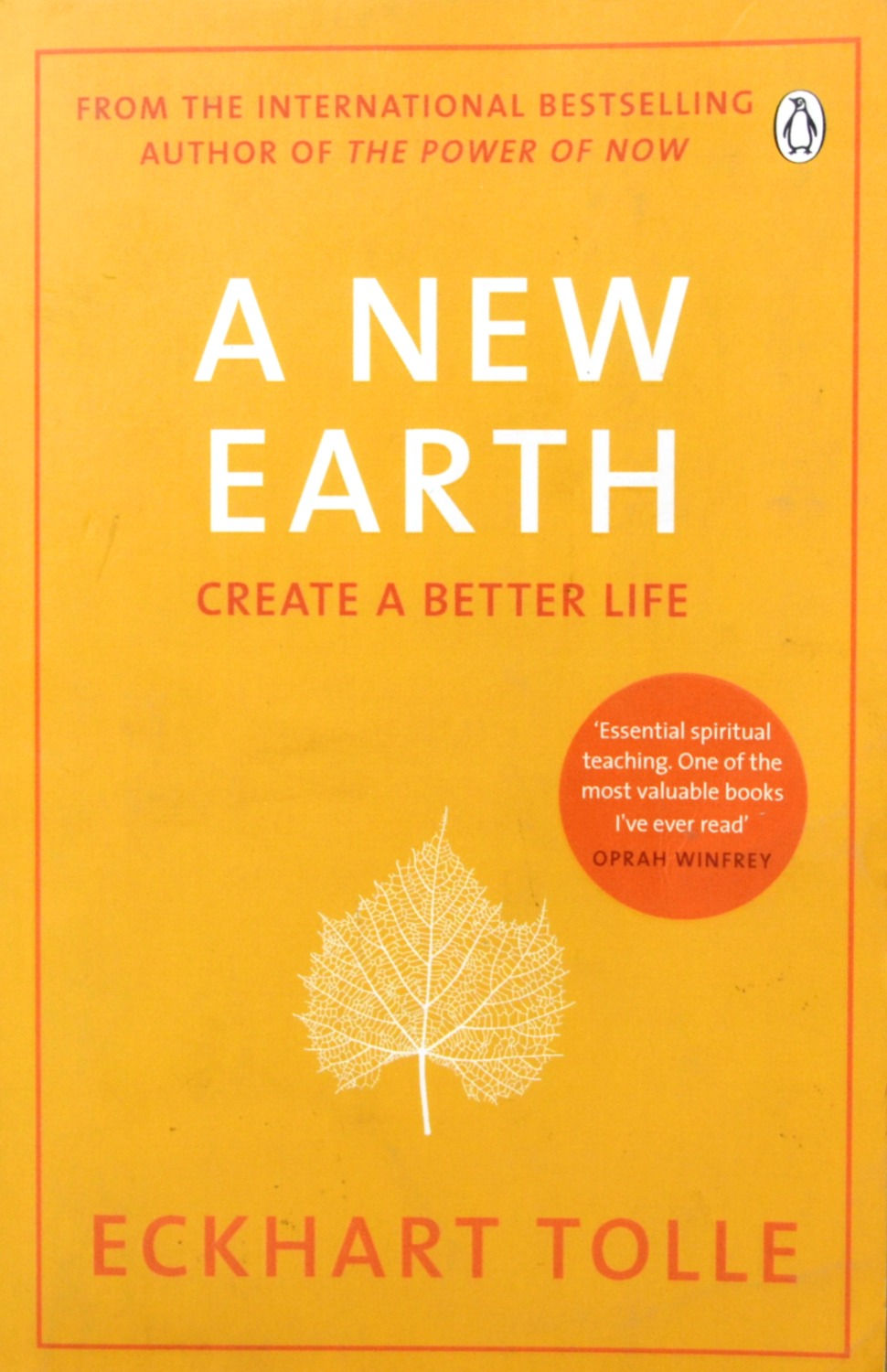 A New Earth: Create a Better Life