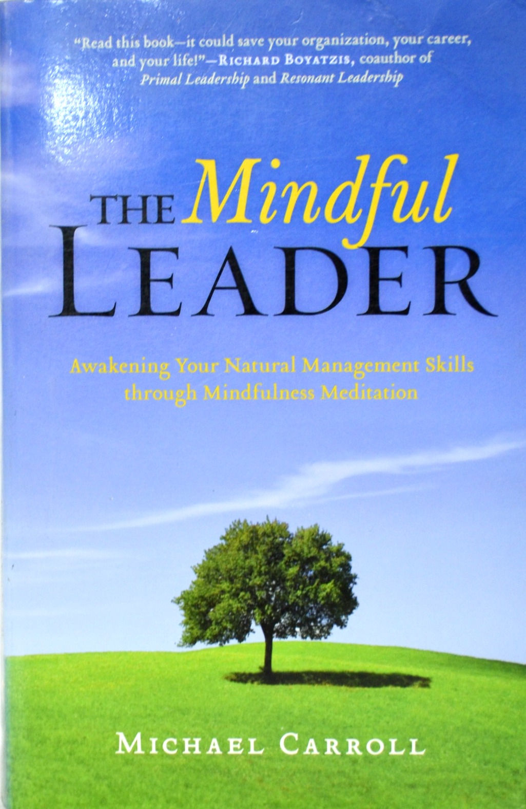 The Mindful Leader: Awakening your Natural Management Skills through Mindfulness