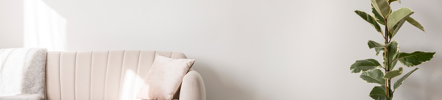 Pink Sofa