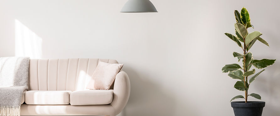 Pink Sofa