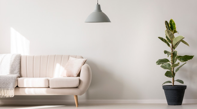 Realtor Market Insider Report - May 29, 2020