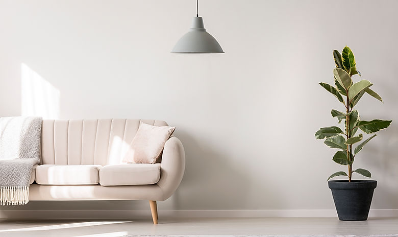 Pink Sofa