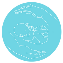 Untitled Artwork.png