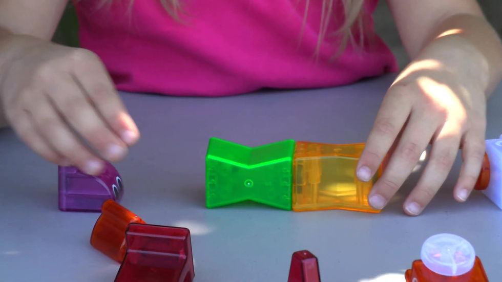 縮圖：People Blocks® - Zoo Animal Clear Colors 17 pcs