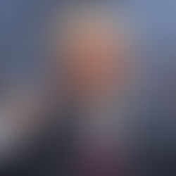 The Carrier Approach Will Fail to Attract or Retain Investment and Production in the U.S.