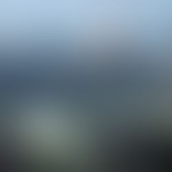 Fitting into the Global Economy: China’s Opening and Transformation