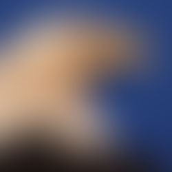 President Biden must improve American capitalism and promote global engagement