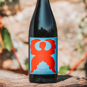 vin naturel de sabran, sans sulfites, vin biologique, côtes-du-rhône, cinsaut, ivresse marseille, pablo grand mourcel, rafael raybois