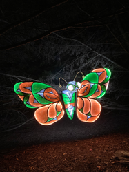 Butterfly Lantern