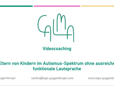 Schlussfolgerungen aus der Pilotstudie zu CALMA