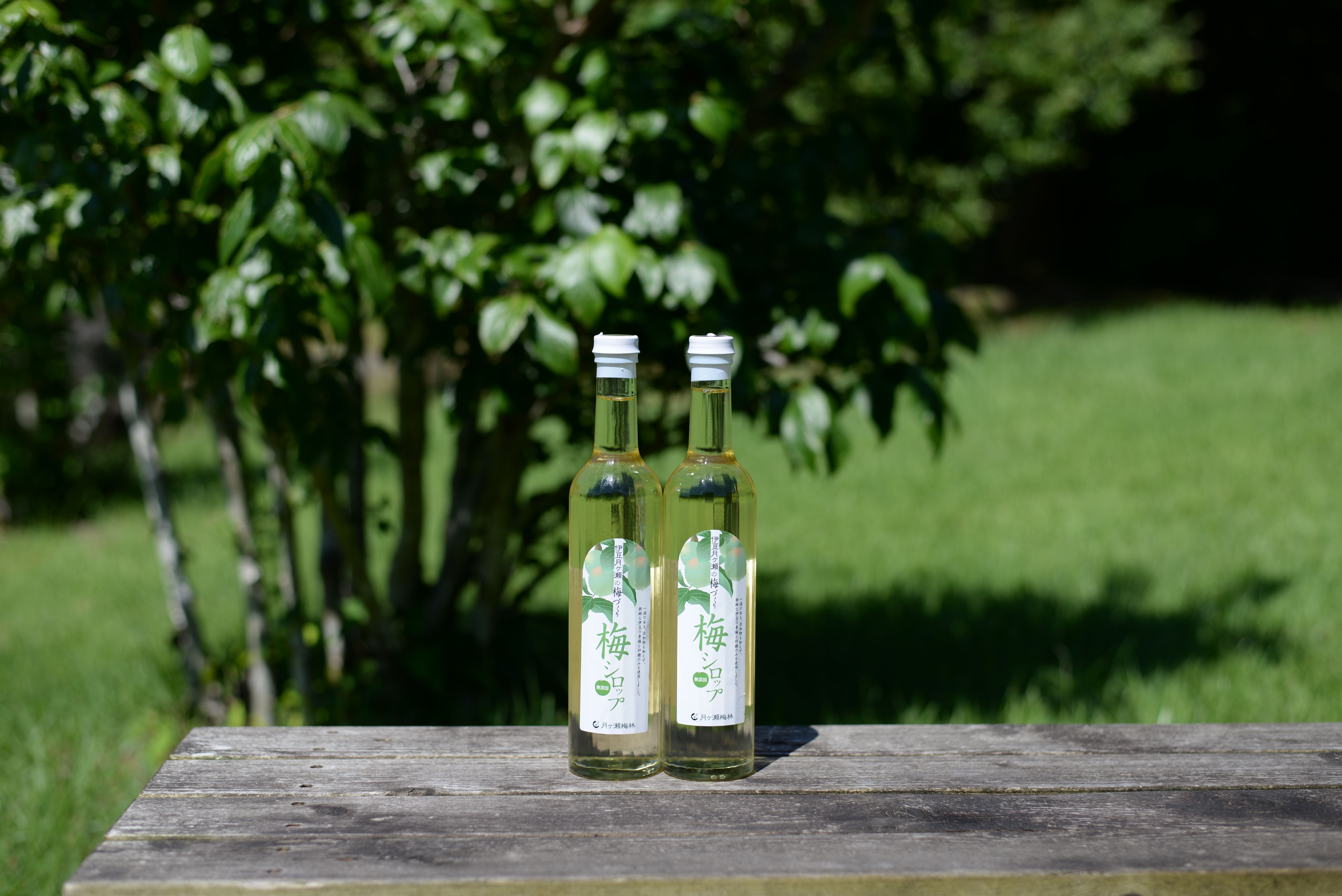 梅シロップ2本入ギフト