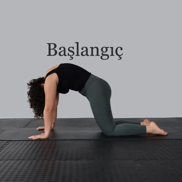 kedi pozu hatha yoga