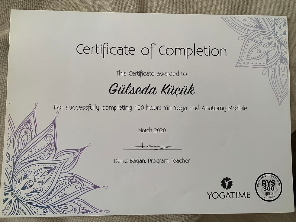 Yin Yoga TT 100hrs
