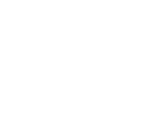 tridisgo logo.png