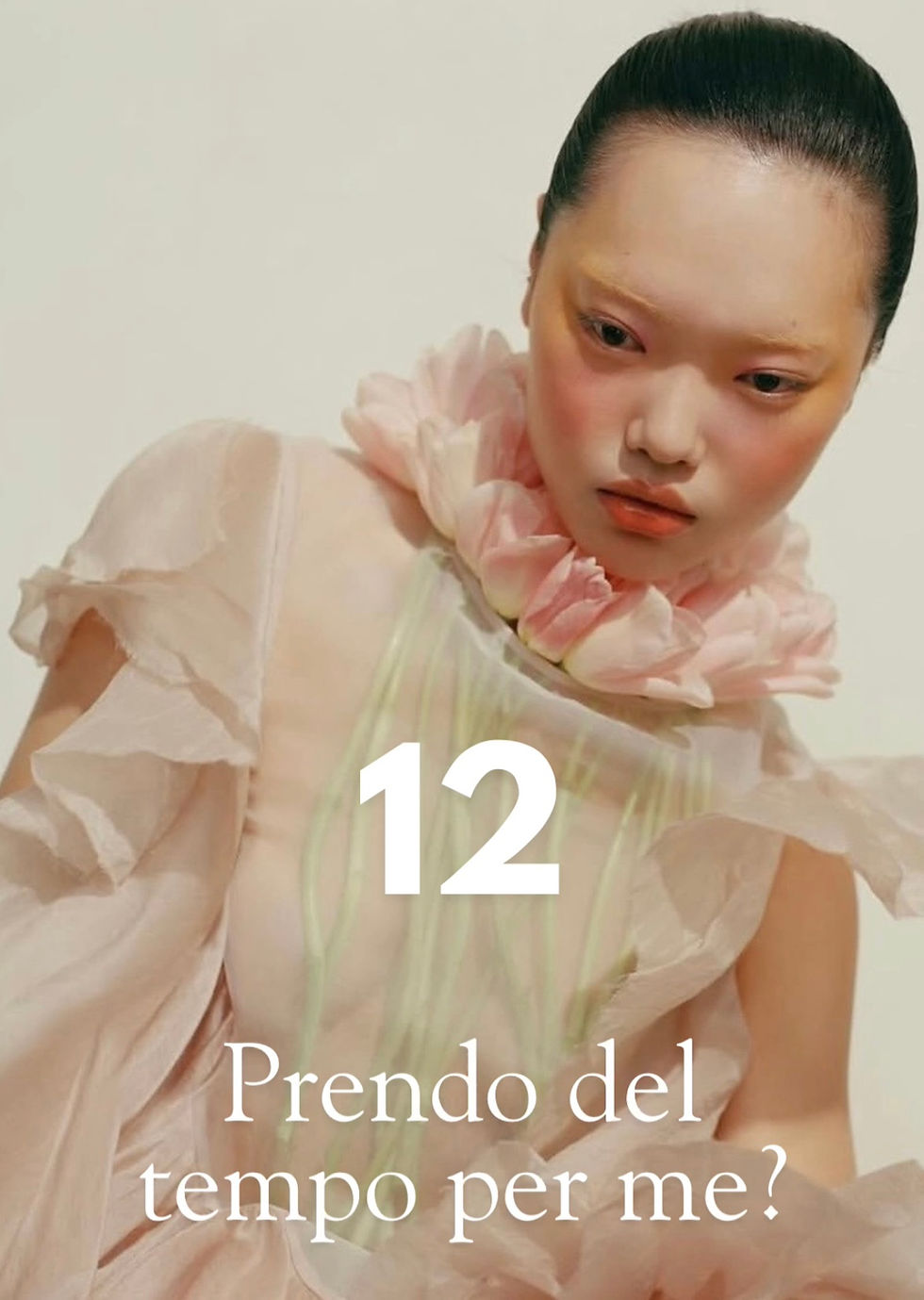 NUMERO 12