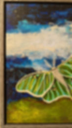 Hand‑painted luna moth art in a wooden frame with a full moon, stars, and night sky