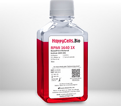 RPMI 1640 medium, sterile 1X — for lymphoid and hybridoma cell culture — India