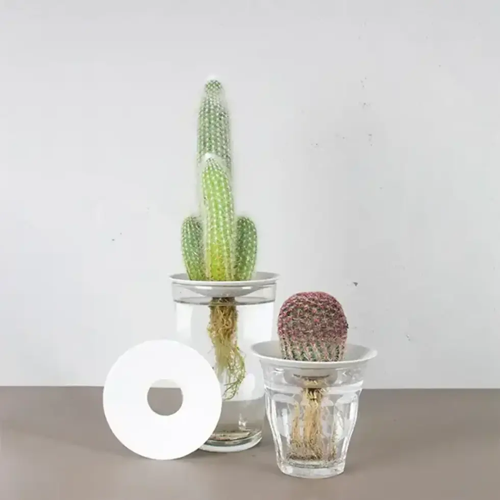 Miniaturbild: Keimschale aus Porzellan Grösse L