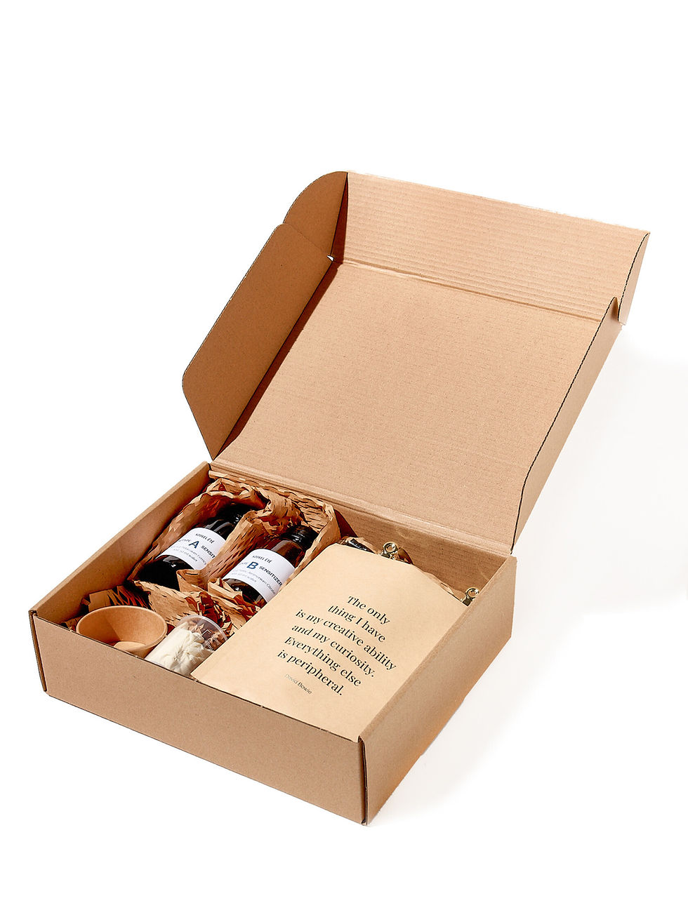 Miniaturbild: Cyanotype DIY Kit