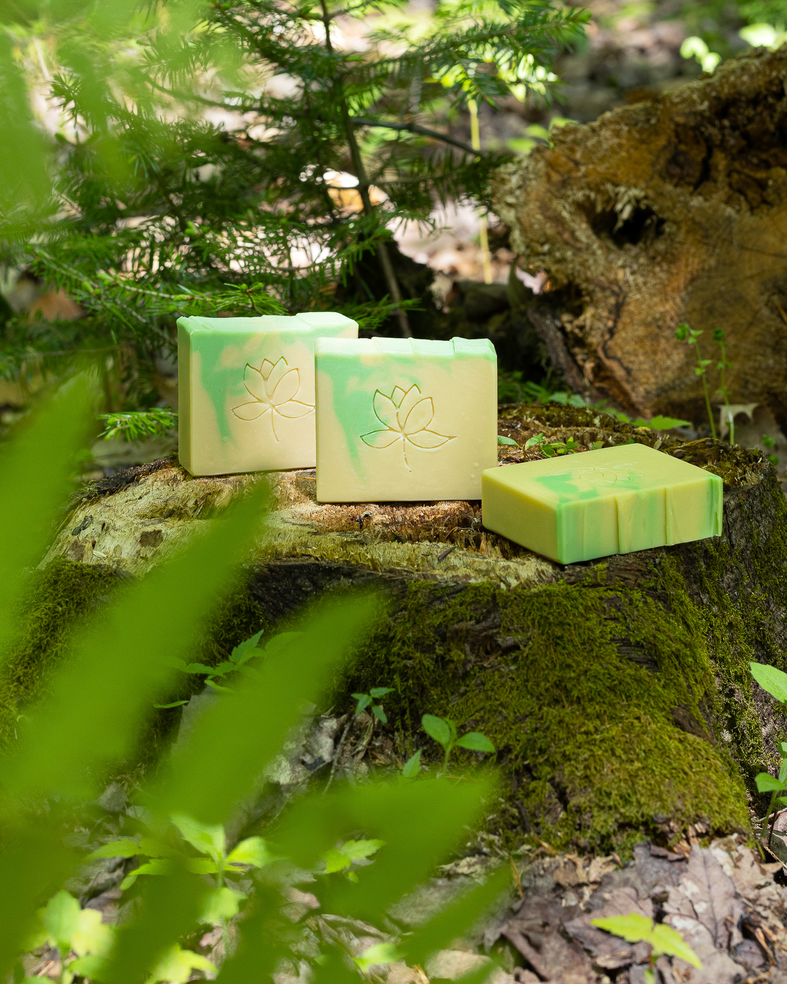 Savon - Citronnelle