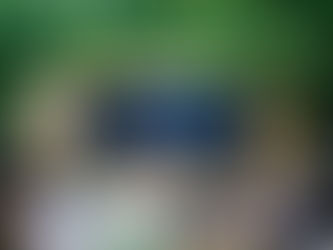 Skinny Living at Merrie City Festival