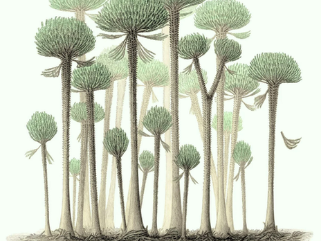 Dünya’nın En Eski Ormanı İngiltere’de Bulundu!