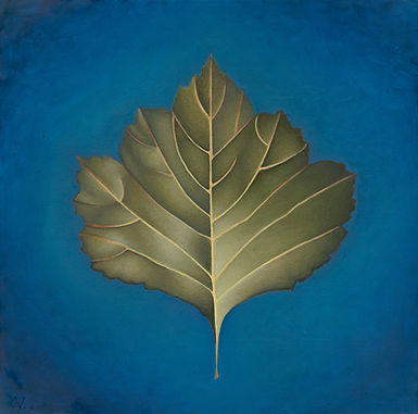 Leaf 18x18_lores.jpg