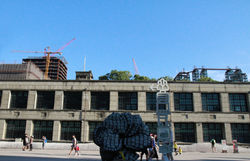 IMG_7504.jpg