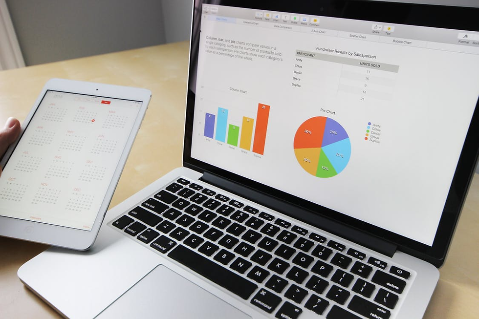 A business chart on a computer screen.