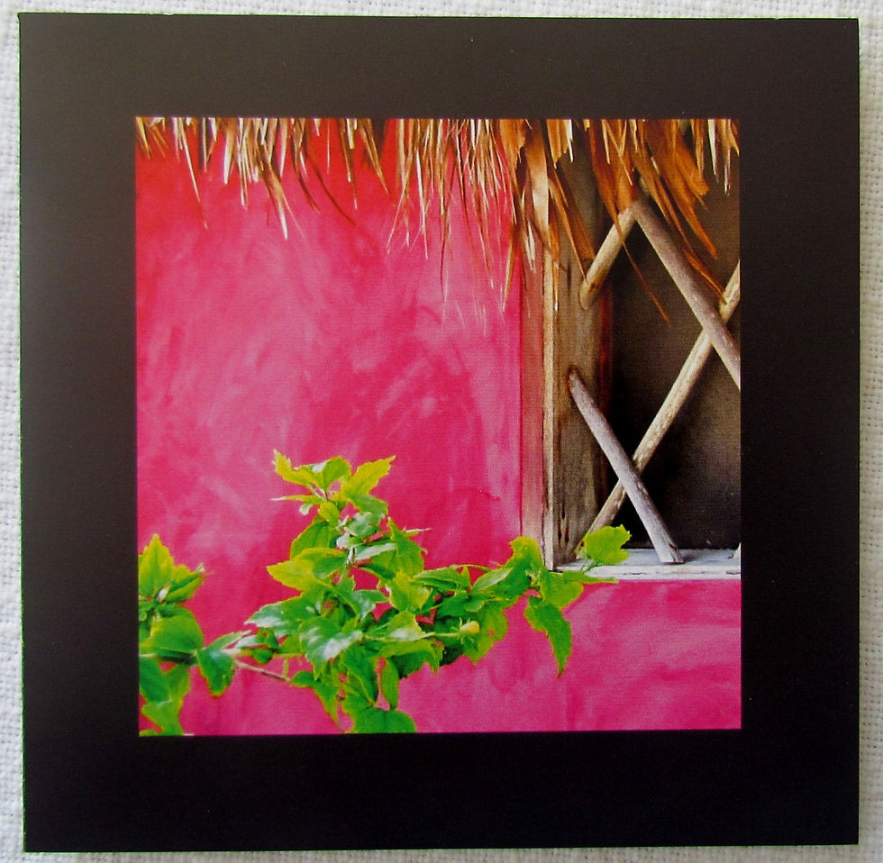 Belize in Pink