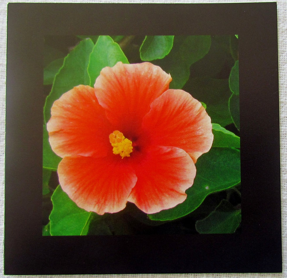 photo+cards+032.JPG