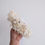 Thumbnail: Everlasting Flower Crown