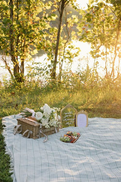 ad44b7184d38a58c2f2156ae199e4741