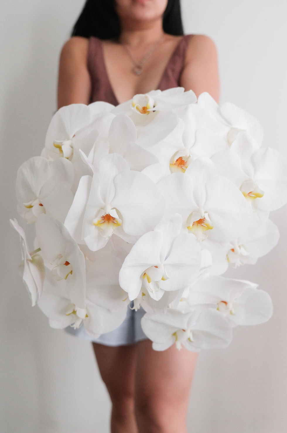 Thumbnail: Phalaenopsis Stem