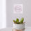 Thumbnail: Mini Succulent