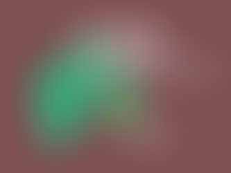 Odla dina egna grönsaker - grönkål