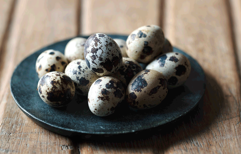 11Port2017STYLINGDeli-1-Quails-Eggs-copy