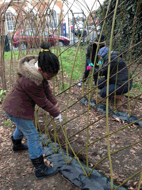 Living Willow Dome, created as part of LB Newham Parks Project