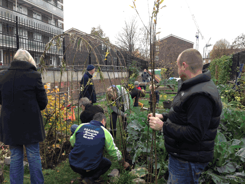 Living Willow Tunnel Planting with Community Groups