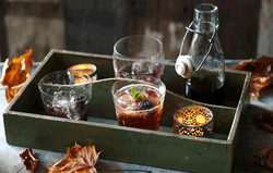 10Port2017STYLINGDRINKSSloe-Gin-Fizz-copy