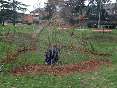 Living Willow Dome, created as part of LB Newham Parks Project
