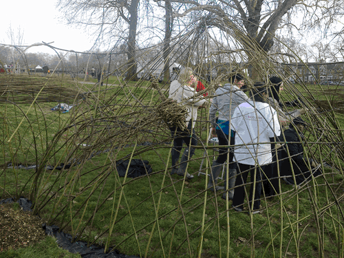 Living Willow Dome, created as part of LB Newham Parks Project