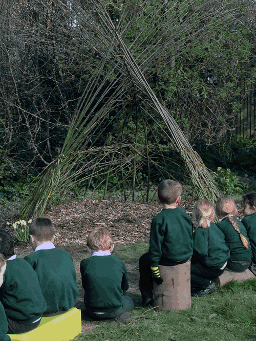 Living Willow installation plus bulb planting