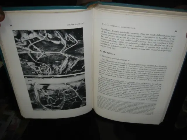 Thumbnail: INDIA RARE - FISH PHYSIOLOGY EDITED BY W. S. HOAR D. J. RANDALL VOL X GILLS P456