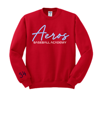 Youth Embroidered Sweatshirt with sleeve number