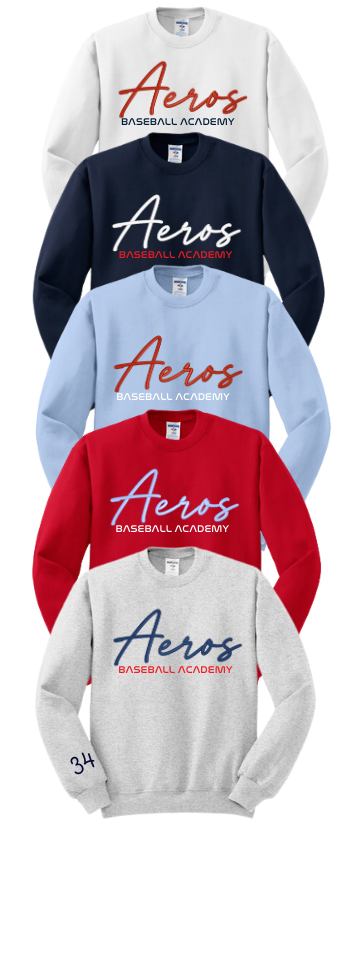 Adult Embroidered Sweatshirt with sleeve number