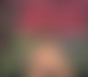 Sumo Wrestler Plays Hero