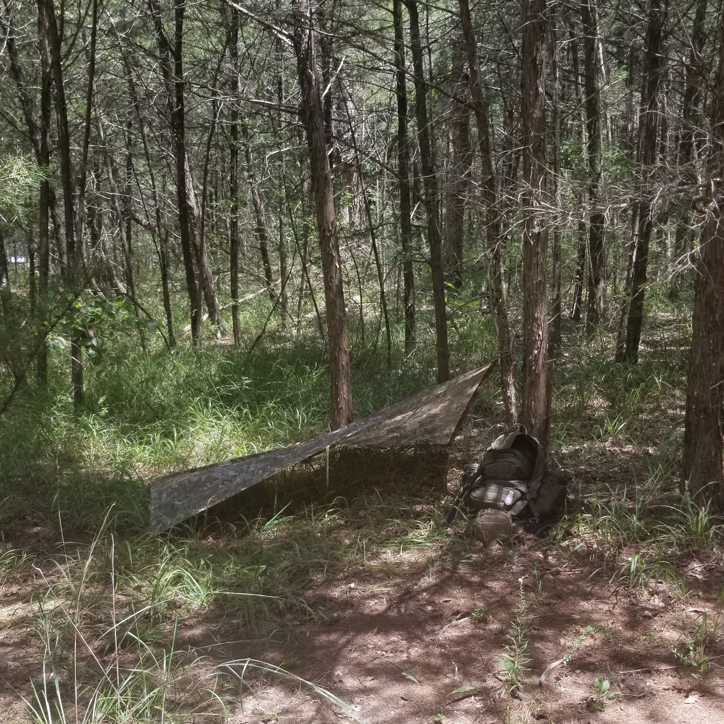 Wilderness Survival Fundamentals